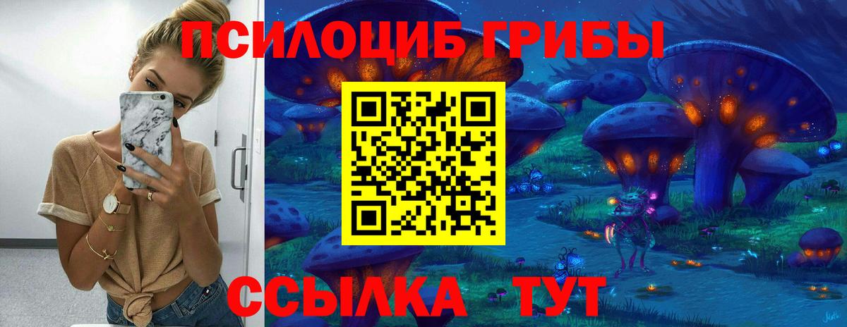 Псилоцибиновые грибы GOLDEN TEACHER Тавда