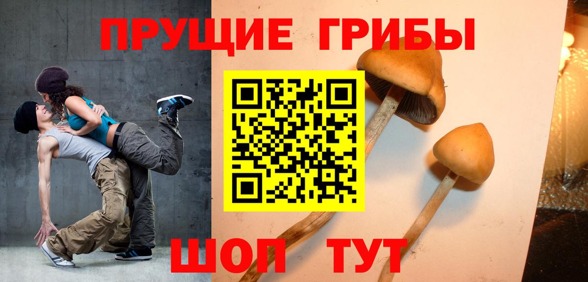 Псилоцибиновые грибы Psilocybe  Вход с VPN  Тавда  Псилоцибиновые грибы MAGIC MUSHROOMS 